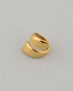  ANILLO VICE