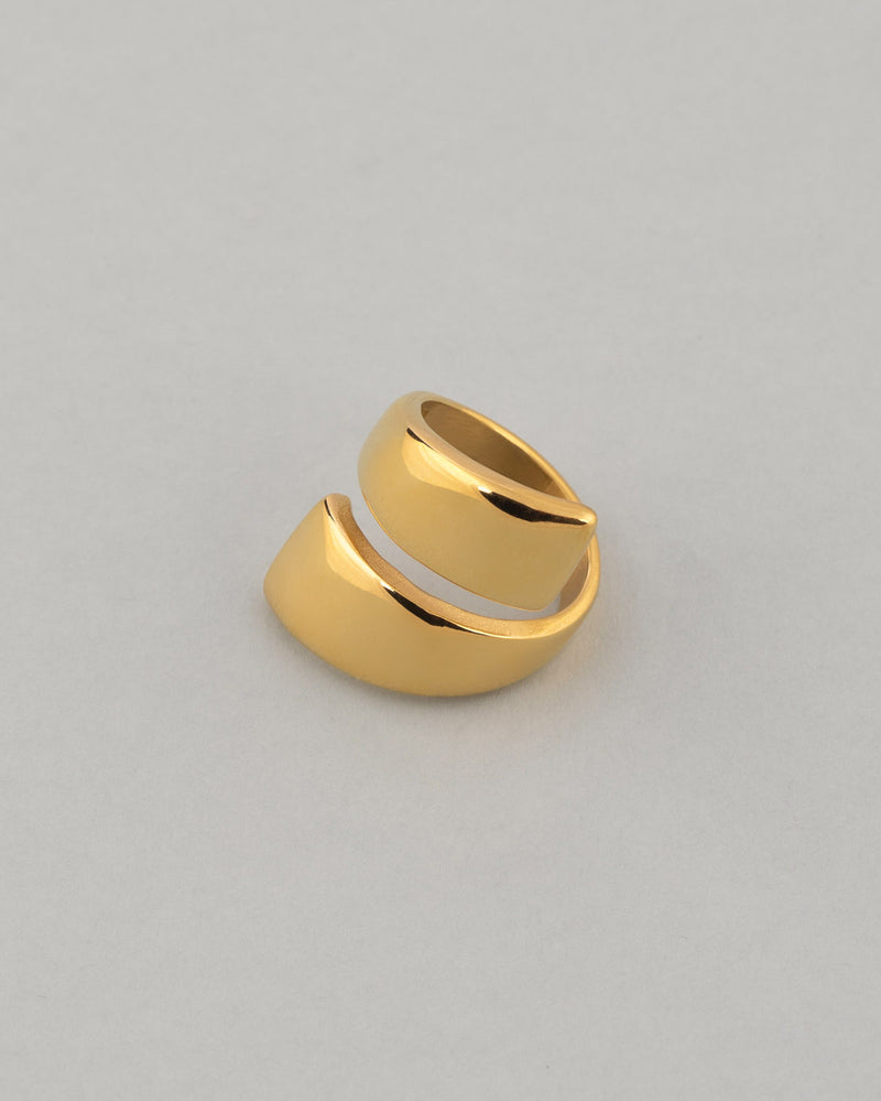 Vice Ring
