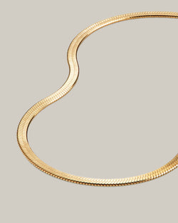  COLLAR SNAKE